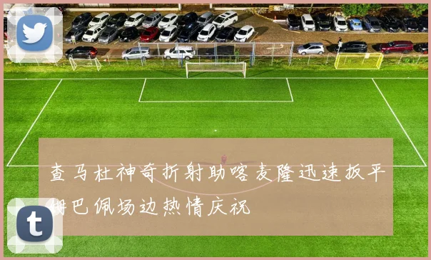查马杜神奇折射助喀麦隆迅速扳平姆巴佩场边热情庆祝