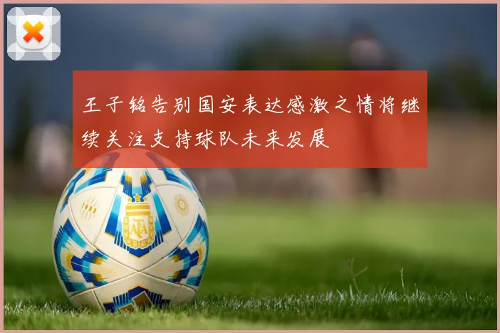 王子铭告别国安表达感激之情将继续关注支持球队未来发展