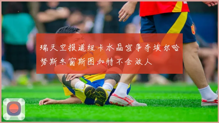 瑞天空报道纽卡水晶宫争夺埃尔哈努斯冬窗斯图加特不会放人