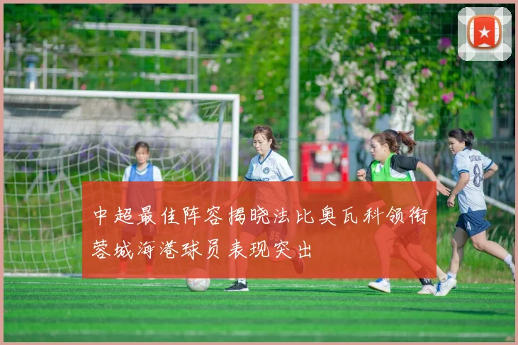 中超最佳阵容揭晓法比奥瓦科领衔蓉城海港球员表现突出