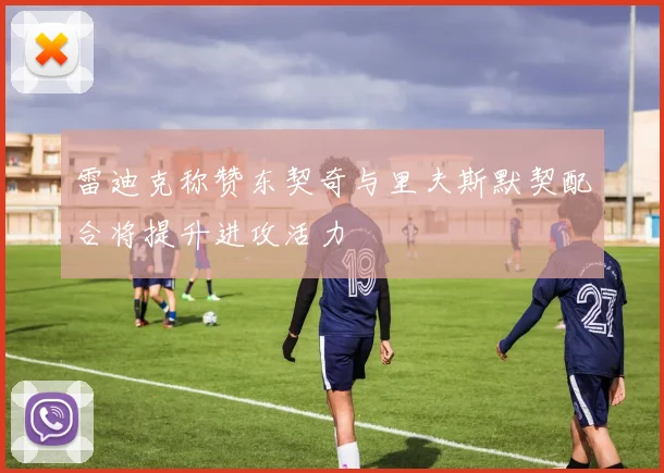 雷迪克称赞东契奇与里夫斯默契配合将提升进攻活力