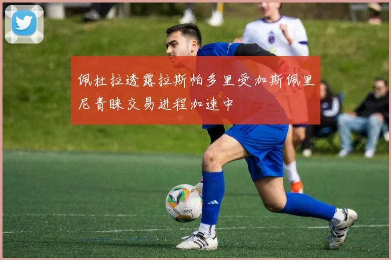 佩杜拉透露拉斯帕多里受加斯佩里尼青睐交易进程加速中