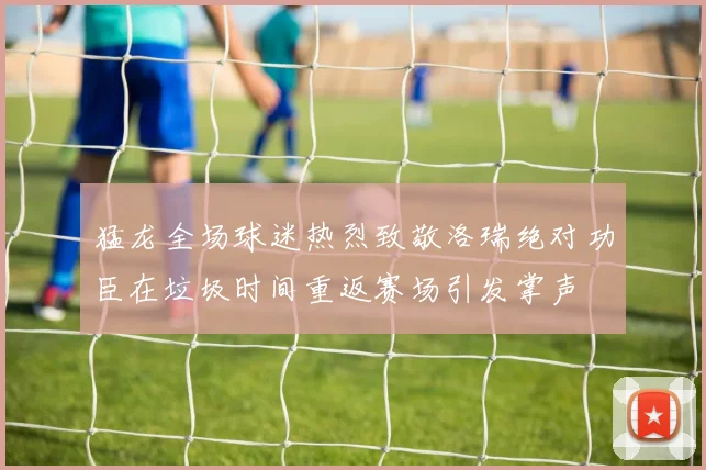 猛龙全场球迷热烈致敬洛瑞绝对功臣在垃圾时间重返赛场引发掌声
