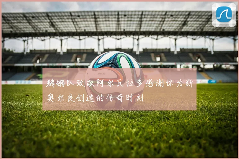 鹈鹕队致敬阿尔瓦拉多感谢你为新奥尔良创造的传奇时刻
